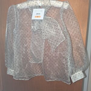 FLASH SALE 3/31-4/1 Elegant Sheer Polka Dot Blouse